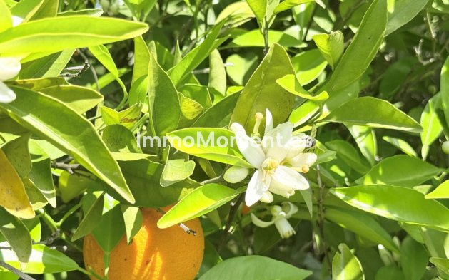 Reventa - Casa de campo - Interior  - Coín