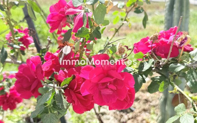 Reventa - Casa de campo - Interior  - Coín