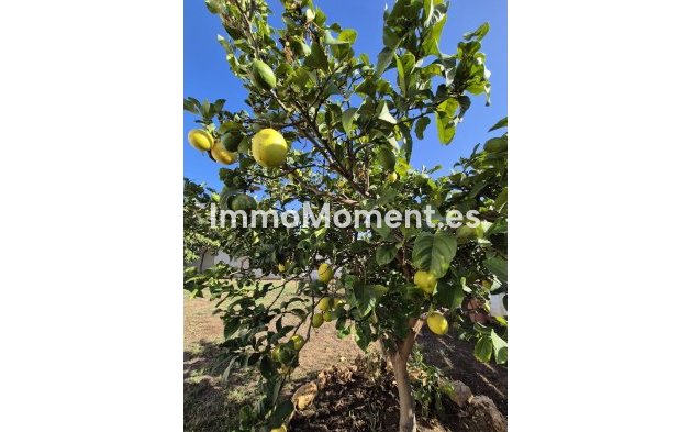 Resale - Villa - Marbella - San Pedro de Alcántara