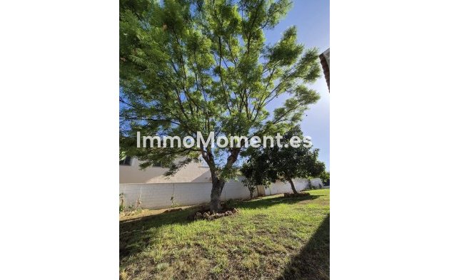 Resale - Villa - Marbella - San Pedro de Alcántara