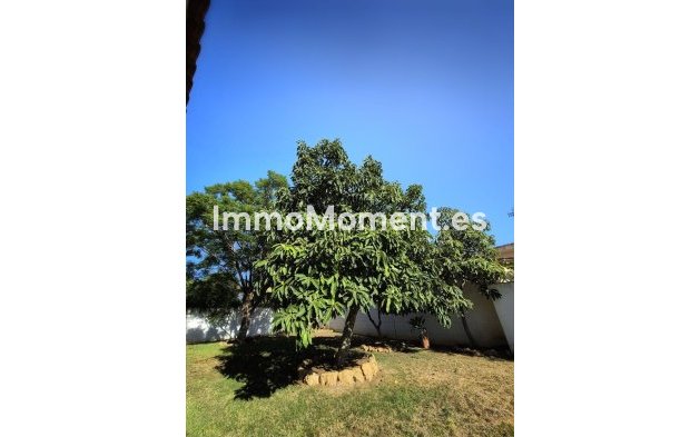 Resale - Villa - Marbella - San Pedro de Alcántara