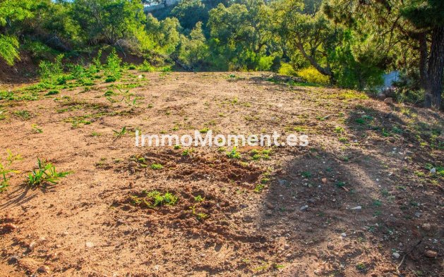 Construction neuve - Terrain - Marbella - La Mairena