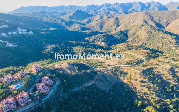 Construction neuve - Maison de campagne - Marbella - La Mairena