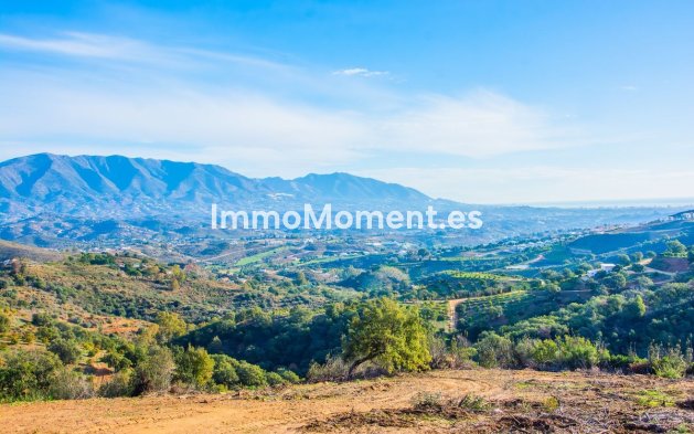 Construction neuve - Maison de campagne - Marbella - La Mairena