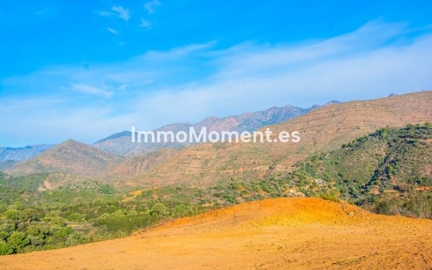 Construction neuve - Maison de campagne - Marbella - La Mairena