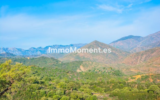 Construction neuve - Maison de campagne - Marbella - La Mairena