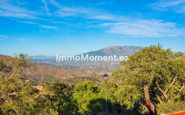 Construction neuve - Villa - Marbella - La Mairena