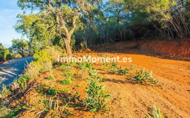 Construction neuve - Villa - Marbella - La Mairena