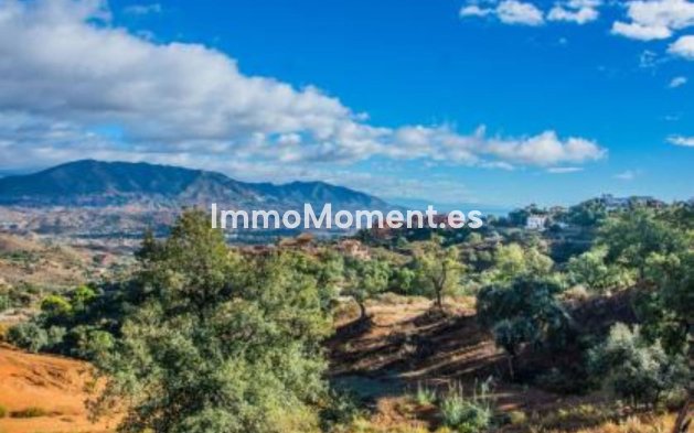 Neubau - Villa - Marbella - La Mairena