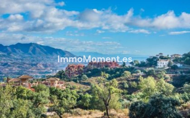 Neubau - Villa - Marbella - La Mairena