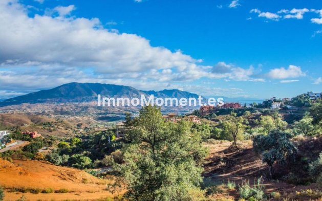 Neubau - Villa - Marbella - La Mairena