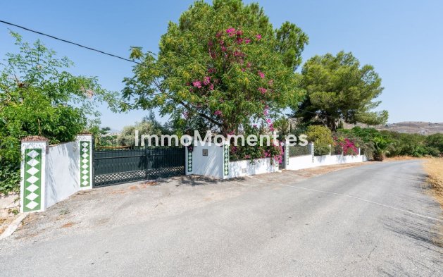 Revente - Maison de campagne - Intérieur                       - Coín