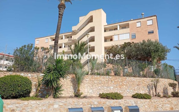 Wiederverkauf - Wohnung - Orihuela - Mil Palmeras