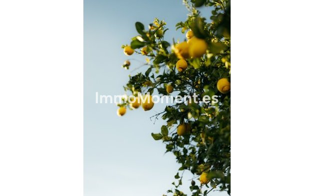 Wiederverkauf - Reihenhaus - Estepona  - Atalaya