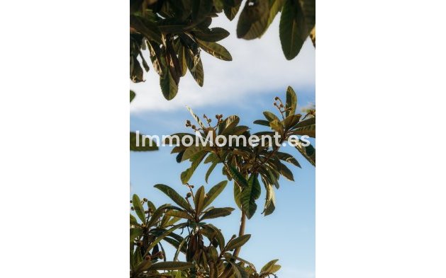 Wiederverkauf - Reihenhaus - Estepona  - Atalaya