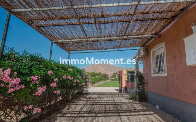 Revente - Villa - Orihuela - San Bartolomé