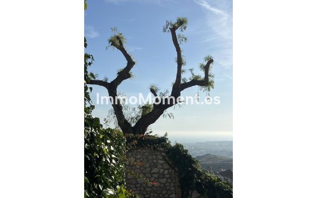 Bestaande woning - Landhuis - Mijas - Mijas Centro