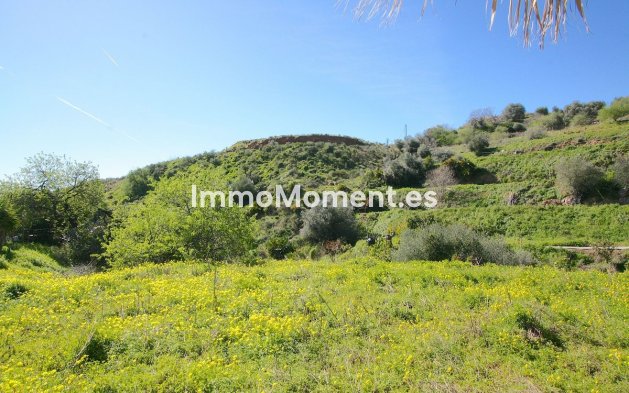 Bestaande woning - Landhuis - Mijas - Mijas Centro