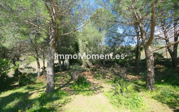 Bestaande woning - Landhuis - Mijas - Mijas Centro