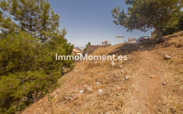 Construction neuve - Terrain - Intérieur                       - Alhaurín de la Torre