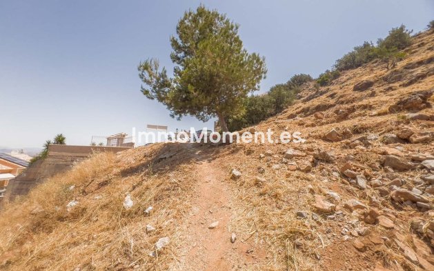 Construction neuve - Terrain - Intérieur                       - Alhaurín de la Torre