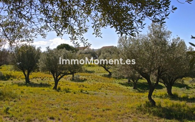 Revente - Villa - Marbella - Elviria