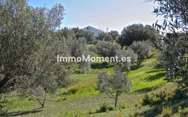 Revente - Villa - Marbella - Elviria