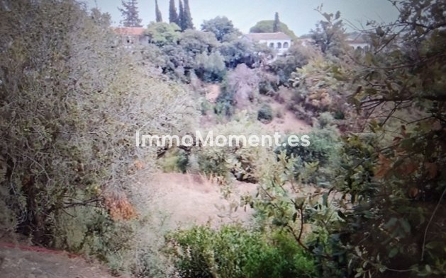 Construction neuve - Terrain - Marbella - Elviria