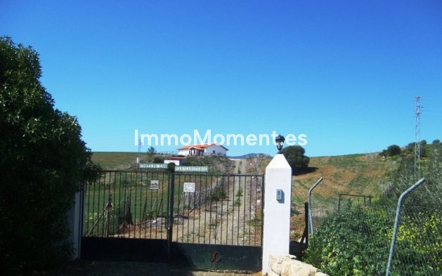 Revente - Maison de campagne - Intérieur                       - Alora