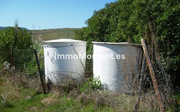 Revente - Maison de campagne - Intérieur                       - Alora
