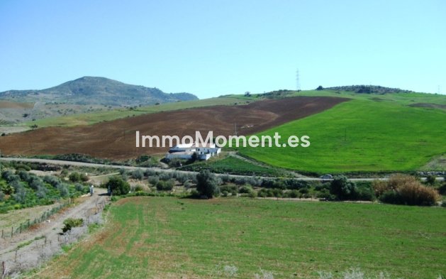 Revente - Maison de campagne - Intérieur                       - Alora