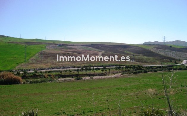 Revente - Maison de campagne - Intérieur                       - Alora