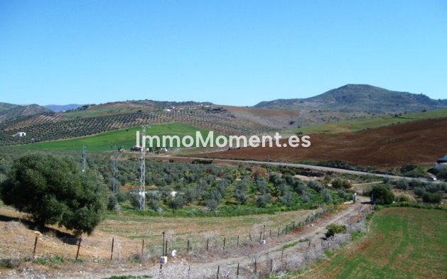 Revente - Maison de campagne - Intérieur                       - Alora