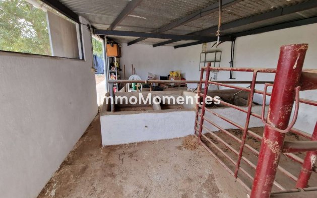 Revente - Maison de campagne - Intérieur                       - Alhaurín de la Torre