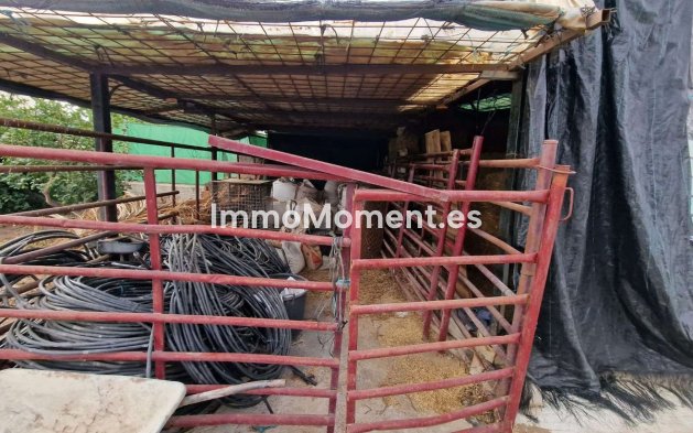 Revente - Maison de campagne - Intérieur                       - Alhaurín de la Torre