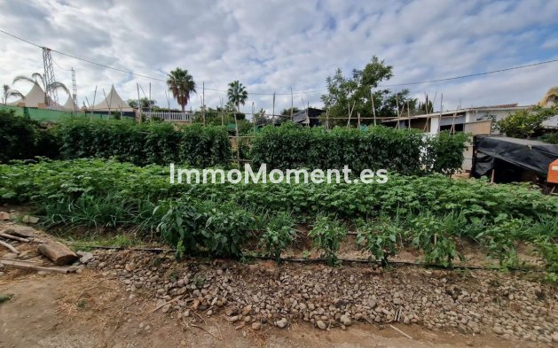 Revente - Maison de campagne - Intérieur                       - Alhaurín de la Torre