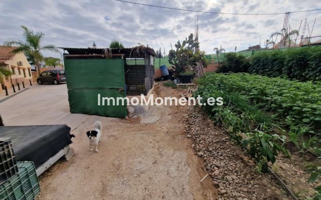 Revente - Maison de campagne - Intérieur                       - Alhaurín de la Torre