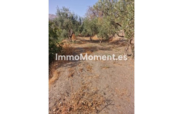 Wiederverkauf - Villa -   Inländisch - Alora