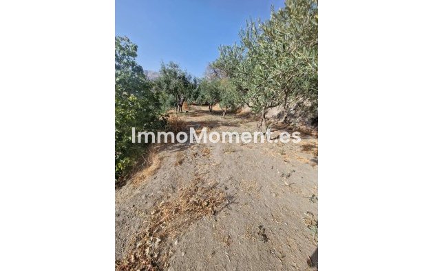 Wiederverkauf - Villa -   Inländisch - Alora