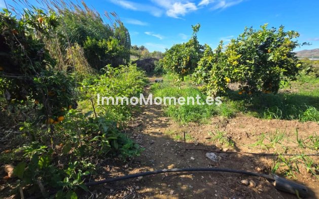 Reventa - Villa - Interior  - Alhaurín de la Torre