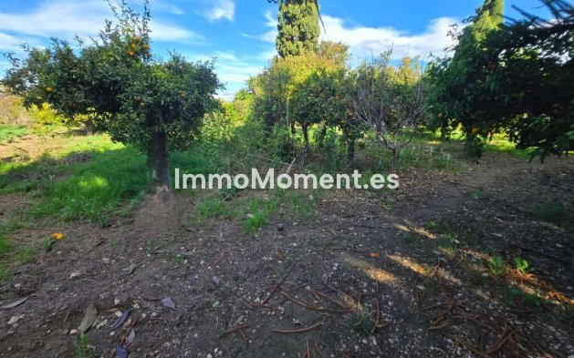 Reventa - Villa - Interior  - Alhaurín de la Torre