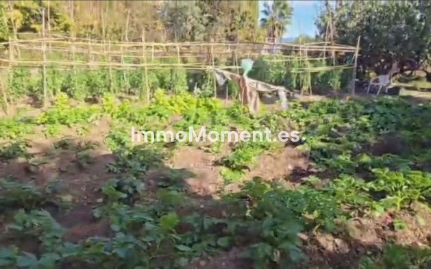 Reventa - Villa - Interior  - Alhaurín de la Torre