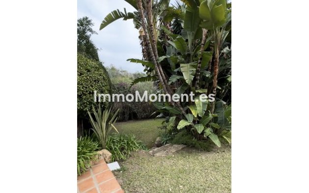 Revente - Maison mitoyenne - Marbella - Marbella Centro