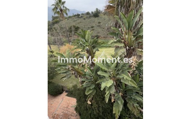 Revente - Maison mitoyenne - Marbella - Marbella Centro