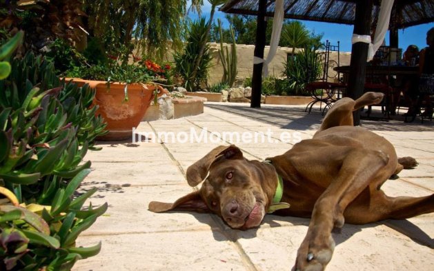 Reventa - Casa de campo - Benissa - Benissa Centro