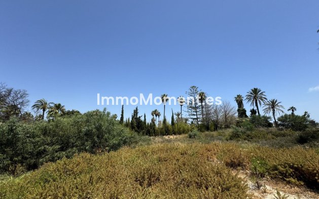 Construction neuve - Terrain - Intérieur                       - Coín