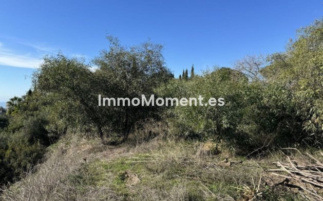 Obra nueva - Villa - Marbella - Elviria