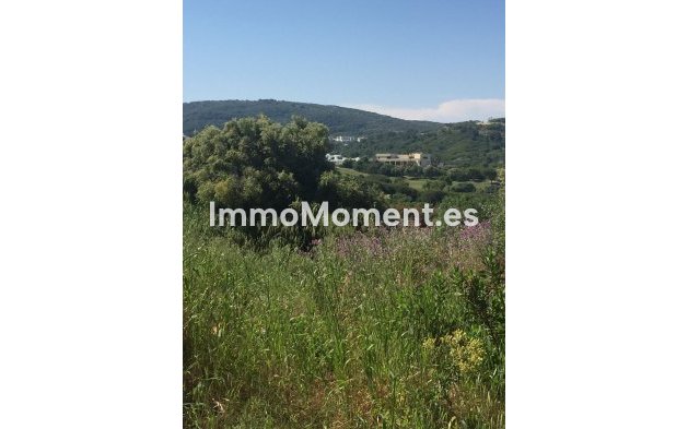 Reventa - Parcela - Sotogrande