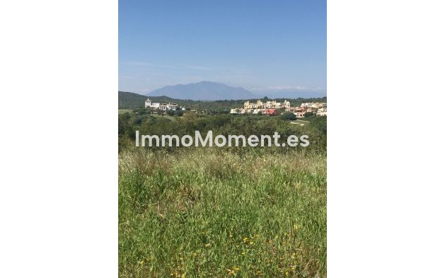 Reventa - Parcela - Sotogrande