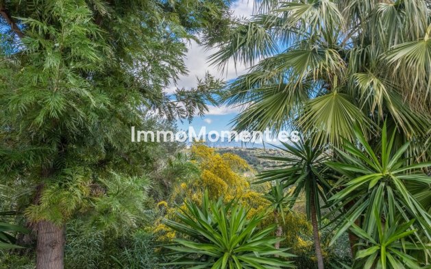 Bestaande woning - Villa - Estepona  - Estepona Centro